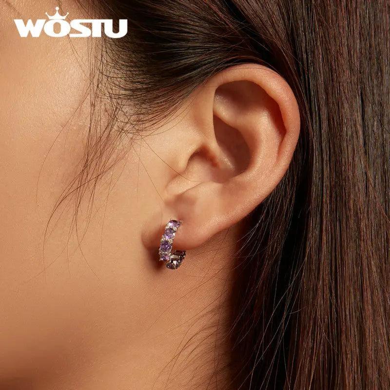 WOSTU Big Stone 925 Sterling Silver Classical Round Purple Crystal Hoop Earrings